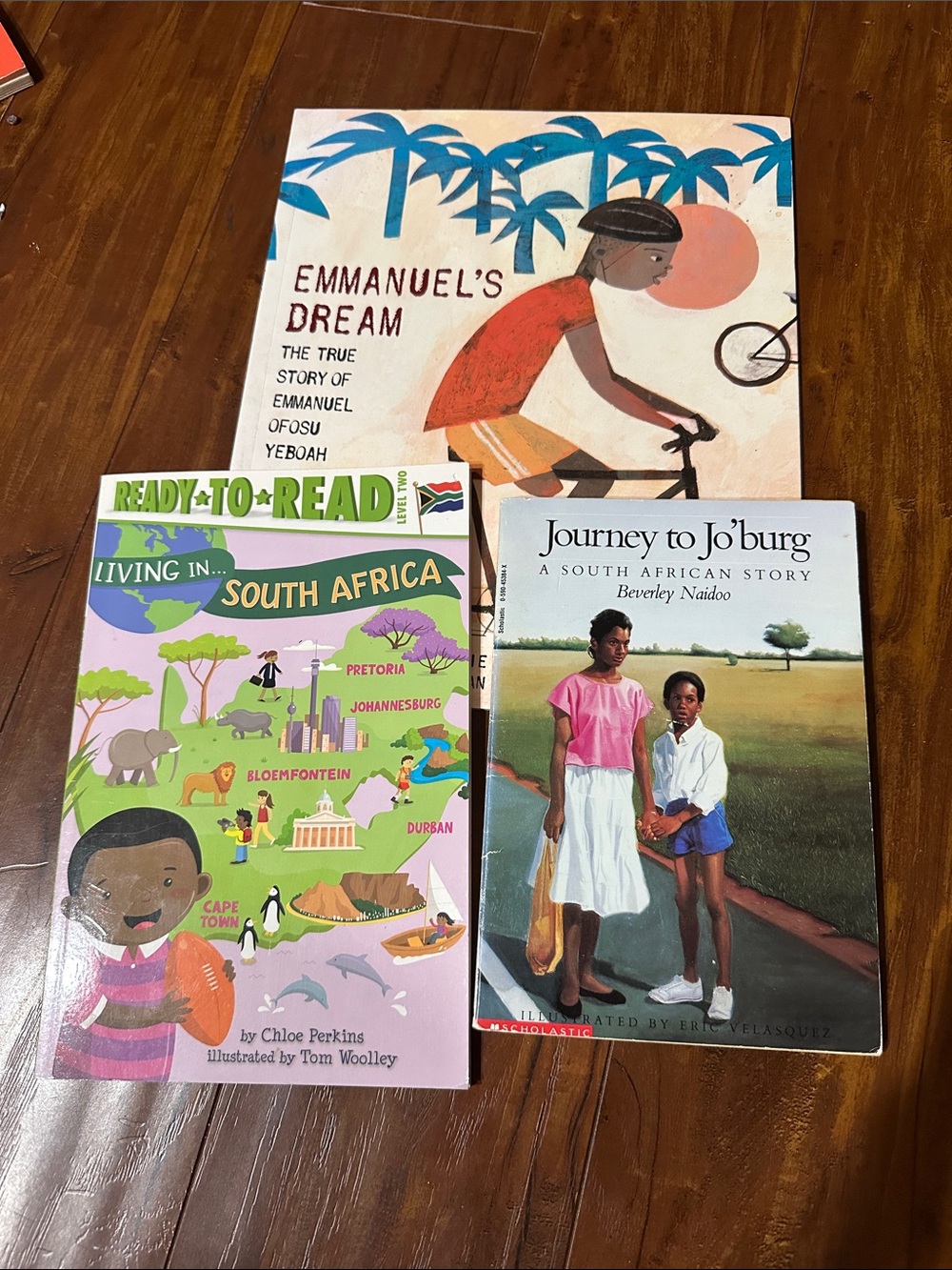 3 Kids Books Africa South Africa Ghana Homeschool Geography History Lot